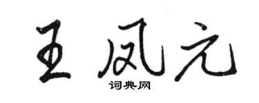 駱恆光王鳳元行書個性簽名怎么寫