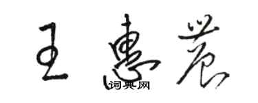 駱恆光王惠農草書個性簽名怎么寫