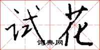 錢沛雲試花行書怎么寫
