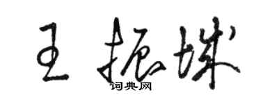 駱恆光王振城草書個性簽名怎么寫