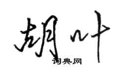 駱恆光胡葉行書個性簽名怎么寫