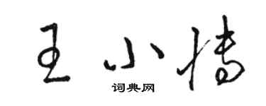 駱恆光王小博草書個性簽名怎么寫