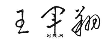 駱恆光王軍翔草書個性簽名怎么寫