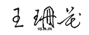 駱恆光王珊花草書個性簽名怎么寫