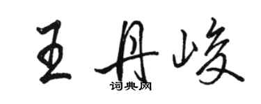 駱恆光王丹峻行書個性簽名怎么寫