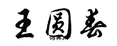 胡問遂王圓春行書個性簽名怎么寫