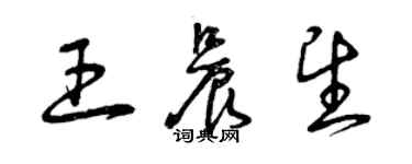 曾慶福王晨望草書個性簽名怎么寫