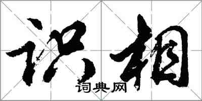 胡問遂識相行書怎么寫