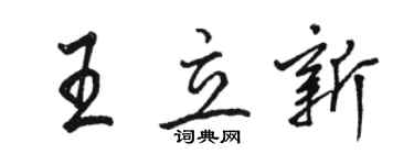 駱恆光王立新行書個性簽名怎么寫