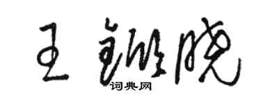駱恆光王杴曉草書個性簽名怎么寫