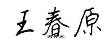 王正良王春原行書個性簽名怎么寫