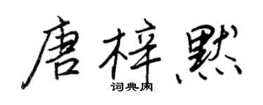 王正良唐梓默行書個性簽名怎么寫