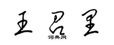 梁錦英王召里草書個性簽名怎么寫