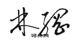 駱恆光林綱草書個性簽名怎么寫