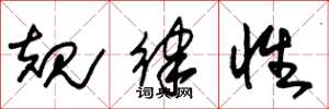 朱錫榮規律性草書怎么寫