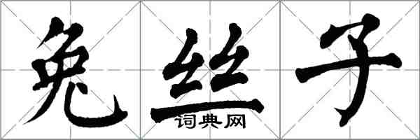 翁闓運兔絲子楷書怎么寫