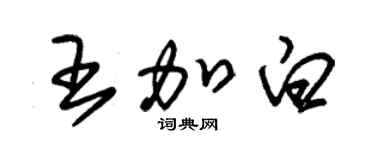 朱錫榮王加白草書個性簽名怎么寫