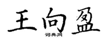丁謙王向盈楷書個性簽名怎么寫