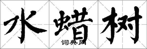翁闓運水蠟樹楷書怎么寫