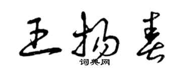 曾慶福王揚春草書個性簽名怎么寫