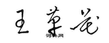 駱恆光王革花草書個性簽名怎么寫