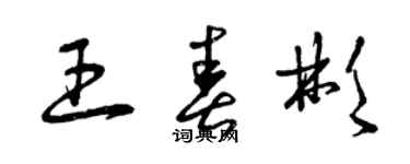 曾慶福王春彬草書個性簽名怎么寫