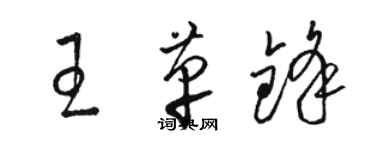 駱恆光王革鋒草書個性簽名怎么寫