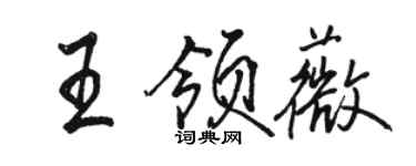 駱恆光王領薇行書個性簽名怎么寫
