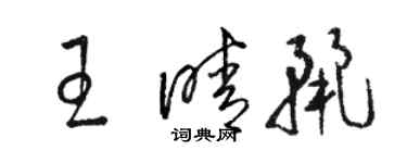 駱恆光王晴麗草書個性簽名怎么寫