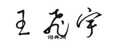 駱恆光王飛宇草書個性簽名怎么寫