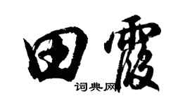 胡問遂田霞行書個性簽名怎么寫