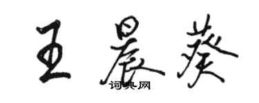 駱恆光王晨葵行書個性簽名怎么寫