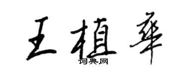 王正良王植華行書個性簽名怎么寫