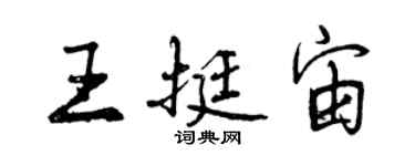 曾慶福王挺宙行書個性簽名怎么寫