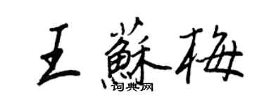 王正良王蘇梅行書個性簽名怎么寫