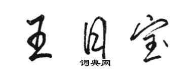 駱恆光王日寶行書個性簽名怎么寫