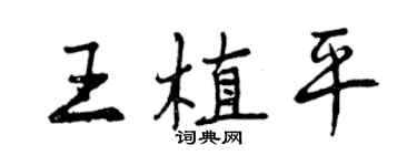 曾慶福王植平行書個性簽名怎么寫