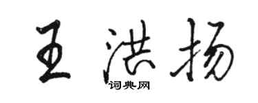 駱恆光王洪揚行書個性簽名怎么寫