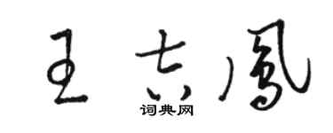 駱恆光王吉鳳草書個性簽名怎么寫