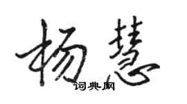 駱恆光楊慧行書個性簽名怎么寫