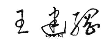 駱恆光王建綱草書個性簽名怎么寫