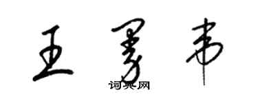 梁錦英王曼韋草書個性簽名怎么寫