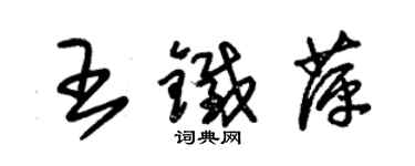 朱錫榮王鐵萍草書個性簽名怎么寫