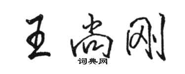 駱恆光王尚剛行書個性簽名怎么寫