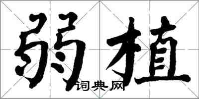 翁闓運弱植楷書怎么寫