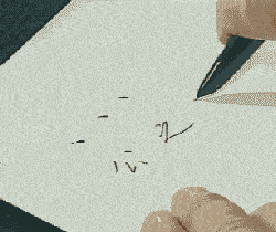 田英章硬筆書法基礎教程 動態圖