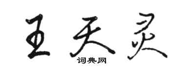 駱恆光王天靈行書個性簽名怎么寫