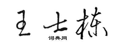 駱恆光王士棟草書個性簽名怎么寫