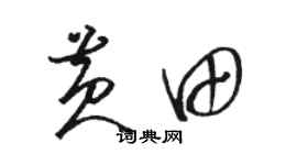駱恆光黃田草書個性簽名怎么寫