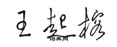 駱恆光王起榕草書個性簽名怎么寫